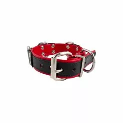 Mister B Slave Collar With 4 D-rings