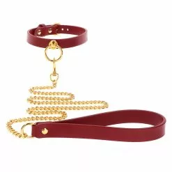 Taboom Burgundy Faux Leather Collar With Leash