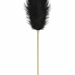 Obsessive Feather & Chain Tickler